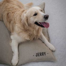 Coussin pour chien Personnalisable