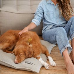 Coussin pour chien Personnalisable