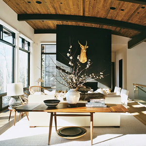 Un chalet chic à Aspen