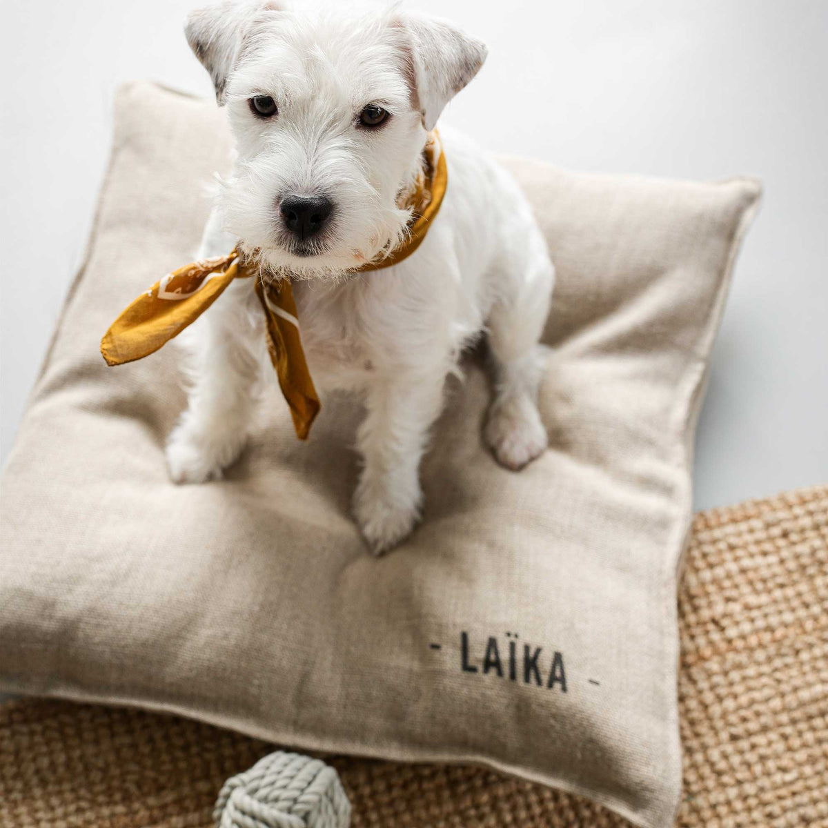 Cojín para perro personalizable